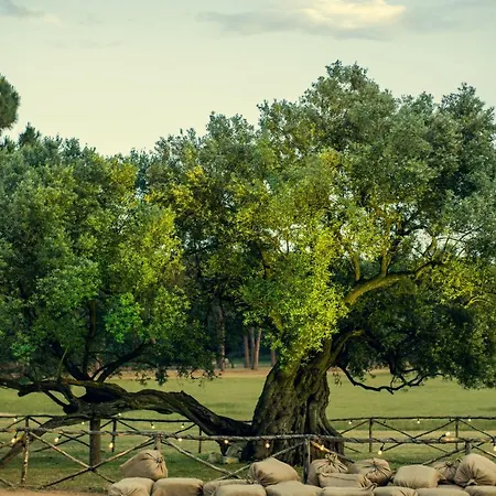 Brijuni Istra Фажана