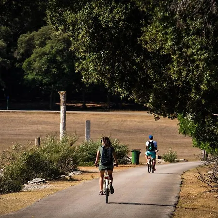 Отель Brijuni Istra 3*