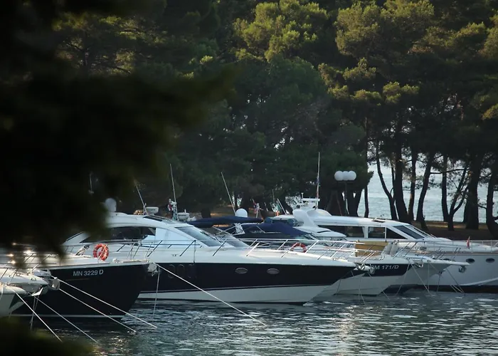 Brijuni Hotel Istra 호텔 파자나