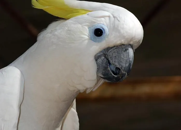 Brijuni Hotel Istra 호텔 3*