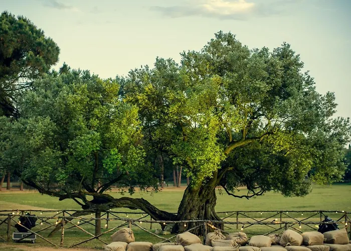 Brijuni Hotel Istra 파자나