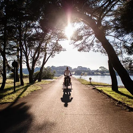 Brijuni Hotel Istra Hotel 3*