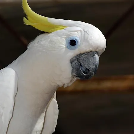 Brijuni Hotel Istra Hotel 3*