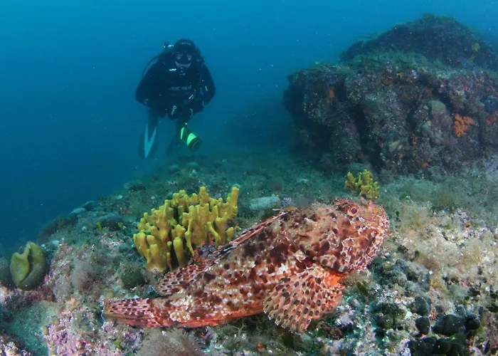 Brijuni Istra 3* Fažana