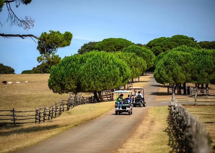 Brijuni Hotel Istra 3*